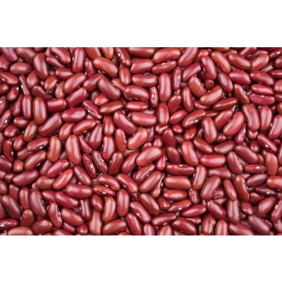 Les fruits du paradis Fazole červená Kidney Bio 25 kg – Zboží Dáma