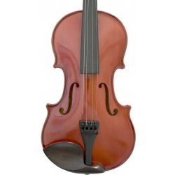 Petz violin G40VNV