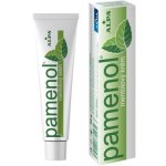 Alpa Pamenol bylinný masážní krém 40 g – Hledejceny.cz