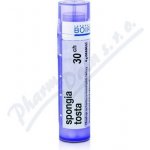SPONGIA TOSTA POR 30CH GRA 4G – Hledejceny.cz