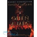 Oheň a meč - Harry Sidebottom