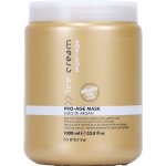 Inebrya Ice Cream Argan Age Pro-Age Mask 1000 ml – Hledejceny.cz