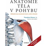 Anatomie těla v pohybu - Základní kurz anatomie kostí, svalů a kloubů - Dimon – Zboží Mobilmania