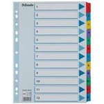 Zesílené kartonové rejstříky Esselte Mylar, A4, Mix barev – Hledejceny.cz