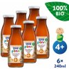 Dětská šťáva Salvest Põnn BIO Mrkvová šťáva s dužinou 6 x 240 ml