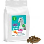 Zelená Země CBD pamlsky pro koně mrkev 0,5 kg – Hledejceny.cz