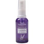 Esprit Provence esenciální olej Lavandin s rozprašovačem 30 ml – Hledejceny.cz