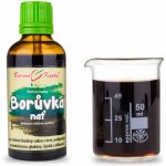 Bylinné kapky Borůvka nať 50 ml – Hledejceny.cz