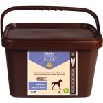 Fitmin Foal 20 kg – Hledejceny.cz