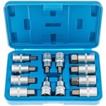 SATRA Zástrčné hlavice Imbus 1/2", H5 - H22, 12 ks - SATRA – Zboží Dáma SATRA Zástrčné hlavice Imbus 1/2", H5 - H22, 12 ks - SATRA – Zboží Dáma