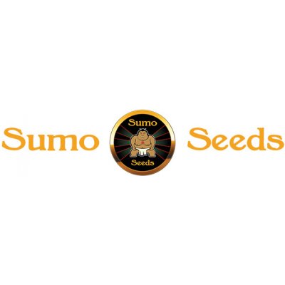 Sumo Seeds Pommelo Pine semena neobsahují THC 3 ks – Hledejceny.cz