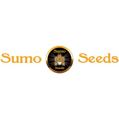 Sumo Seeds CBD Harlequin semena neobsahují THC 3 ks – Zboží Mobilmania