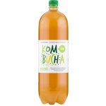 Country Life Bio Kombucha zelená 2 l – Hledejceny.cz