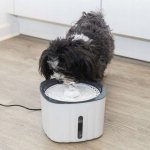 Trixie Napáječka s fontánou plastová 2000 ml – Zboží Dáma