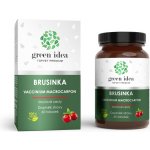 Green idea Brusinka obecná bylinný extrakt 60 kapslí – Hledejceny.cz