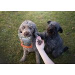 Marp Variety kachní pamlsky pro psy 120 g – Zboží Dáma