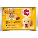 Pedigree Junior v želé kuřecí rýže a hovězí rýže 4 x 100 g – Sleviste.cz