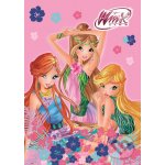 Winx Club fashion čtvercové omalovánky – Hledejceny.cz