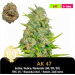 Drskunk AK 47 Feminizováno semena neobsahují THC 1 ks – Sleviste.cz