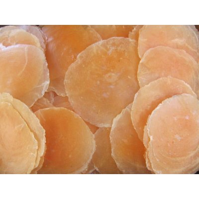 Dijk Natural Collection Mušle Capiz shell oranžová 520 g – Zboží Dáma