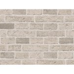 A.S. Création 779830 Papírová tapeta na zeď Dekora Natur rozměry 0,53 x 10,05 m – Zboží Dáma