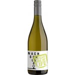 Winzerhof Stahl Nachschlag "Bright side of life" 2023 11,5% 0,75 l (holá láhev) – Hledejceny.cz