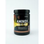 Aone Nutrition Amino Maxi-Pep 500 tablet – Zboží Mobilmania