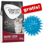 Concept for Life Maine Coon Adult 10 kg – Hledejceny.cz