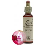 Bachovy květové esence Buk lesní Beech 20 ml – Hledejceny.cz