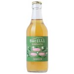 Bacilli fermentovaná limonáda kombucha Jasmín 330 ml – Zboží Dáma Bacilli fermentovaná limonáda kombucha Jasmín 330 ml – Zboží Dáma
