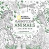 Omalovánka National Geographic Magnificent Animals: Coloring Book