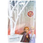 EUROSWAN Doplňky do vlasů Ledové Království v sáčku 18x13 cm – Zboží Dáma