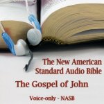 Gospel of John: The Voice Only New American Standard Bible NASB – Hledejceny.cz