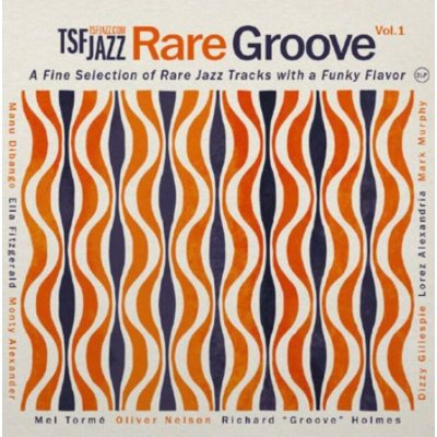 Various - TSF JAZZ Rare Grooves Vol. 1 - A Fine Selection Of Rare Jazz Tracks With A Funky Flavor LP – Hledejceny.cz