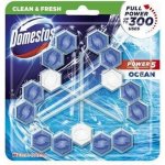 Domestos Power 5 Ocean WC blok 3 x 50 g – Sleviste.cz