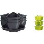 Prosperplast Petrželák COUBI HERBAL grafit 29,5 cm – Sleviste.cz