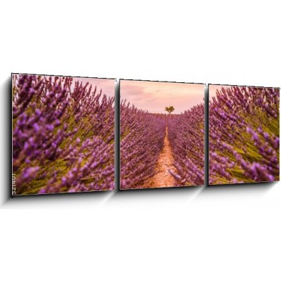 Obraz 3D třídílný - 150 x 50 cm - Dramatic sunset landscape. Tree in lavender field at sunset in Provence, France – Zbozi.Blesk.cz