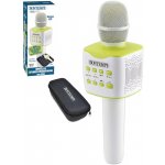 Bontempi Mikrofon bezdrátový karaoke v pouzdrře na baterie USB – Hledejceny.cz