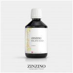 Zinzino BalanceOil 300 ml Omega 3 Citron – Hledejceny.cz