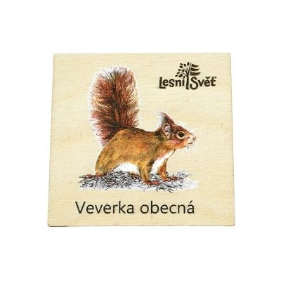 Lesní svět Magnet malý Veverka – Zboží Dáma