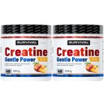 Survival Creatine Monohydrate Gentle Power 320 g – Zboží Dáma