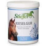 Stiefel Křemelina 1 kg – Hledejceny.cz