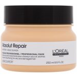 L’Oréal Expert Absolut Repair Gold Quinoa+Protein Golden Mask 250 ml – Hledejceny.cz