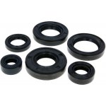 Naraku Sada gufer motoru Naraku, Minarelli AM (6ks) NK102.12 – Hledejceny.cz