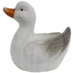 Dekorace kačenka X6687 – Zboží Dáma