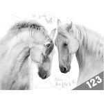 Desky na číslice Koně – Hledejceny.cz