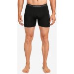 Icebreaker Mens Anatomica Long Boxers Black – Zboží Dáma
