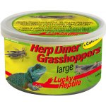 Lucky Reptile Herp Diner sarančata velká 35 g – Zboží Mobilmania