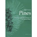 Pines, 2nd Revised Edition: Drawings and Descriptions of the Genus Pinus Aljos Farjon – Hledejceny.cz