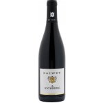 Weingut Salwey Spätburgunder RS OBERROTWEIL Rulandské modré 1 g/l suché červené 2021 13,5% 0,75 l (holá láhev) – Hledejceny.cz